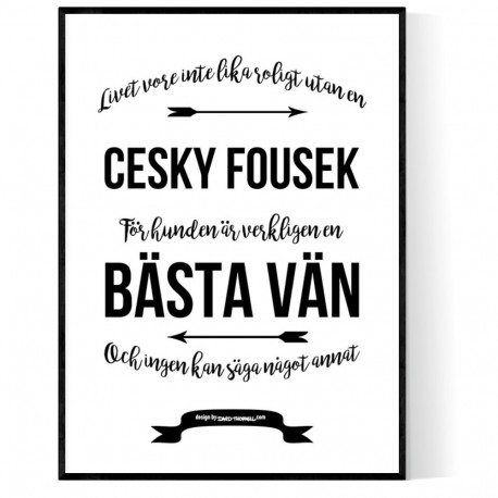 Livet Med Cesky Fousek