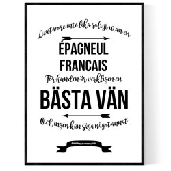 Livet Med Épagneul Francais