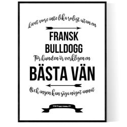 Livet Med Fransk Bulldogg