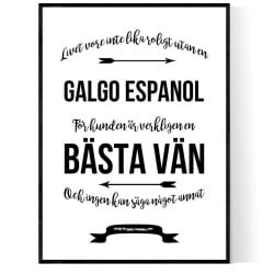 Livet Med Galgo Espanol