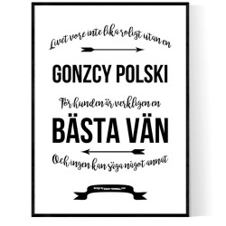 Livet Med Gonzcy Polski