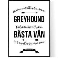 Livet Med Greyhound
