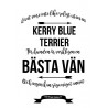 Livet Med Kerry Blue Terrier