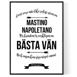 Livet Med Mastino Napoletano