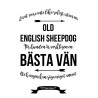 Livet Med Old English Sheepdog (Bobtail)
