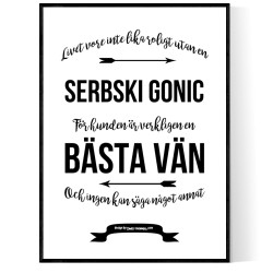 Livet Med Serbski Gonic