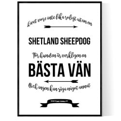 Livet Med Shetland Sheepdog