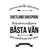 Livet Med Shetland Sheepdog
