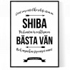 Livet Med Shiba