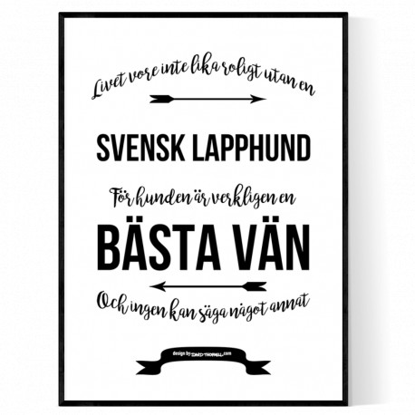 Livet Med Svensk Lapphund