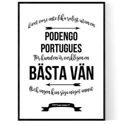 Livet Med Podengo Portugues