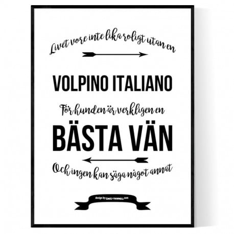 Livet Med Volpino Italiano