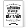 Livet Med Welsh Corgi Pembroke