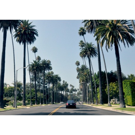 Beverly Hills 