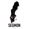 Segmon Heart