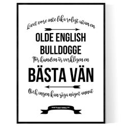 Livet Med Olde English Bulldogge