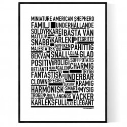 Miniature American Shepherd Poster