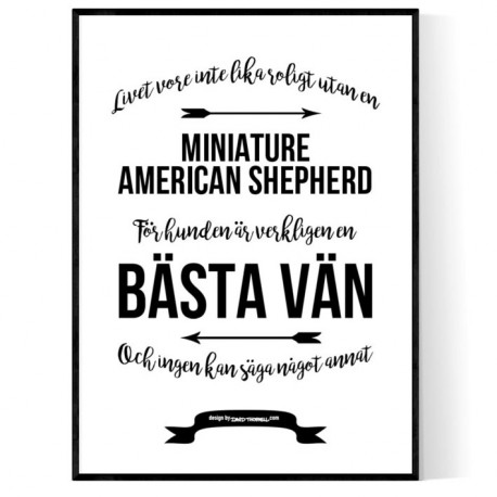 Livet Med Miniature American Shepherd Poster