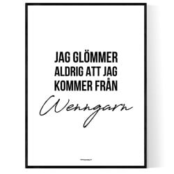 Från Wenngarn