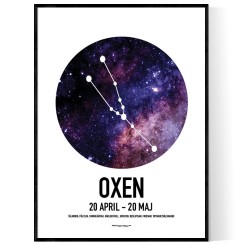 Oxen Stjärntecken Poster
