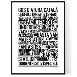 Gos d'Atura Català Poster