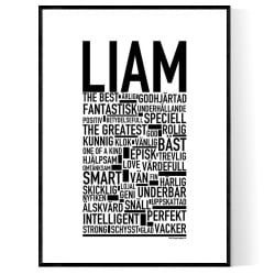 Liam Poster