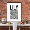 Lilly Poster