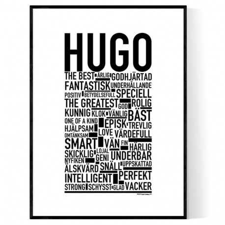 Hugo Poster