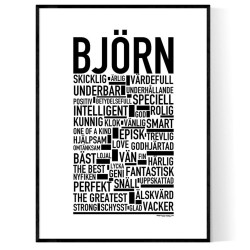Björn Poster