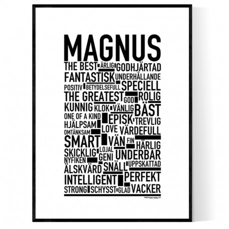 Magnus Poster