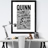 Quinn Poster