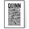 Quinn Poster
