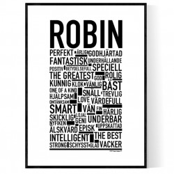 Robin Poster