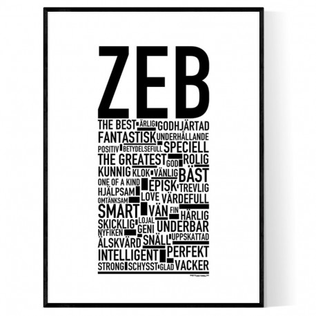 Zeb Poster