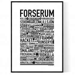 Forserum Poster