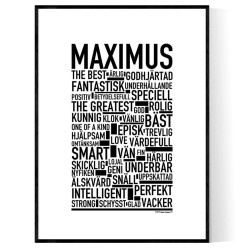 Maximus Poster