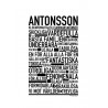 Antonsson Poster