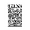 Bertilsson Poster