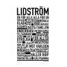 Lidström Poster