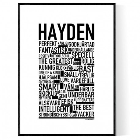 Hayden Poster