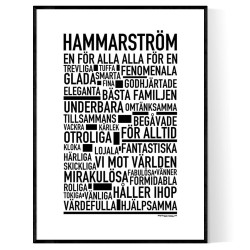 Hammarström Poster