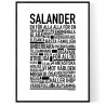 Salander Poster 