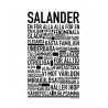 Salander Poster 