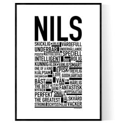 Nils 2 Poster
