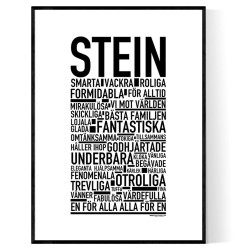 Stein Poster 