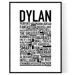 Dylan Poster