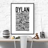 Dylan Poster