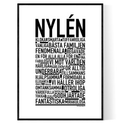 Nylén Poster 