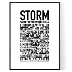 Storm Poster 