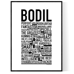 Bodil Poster